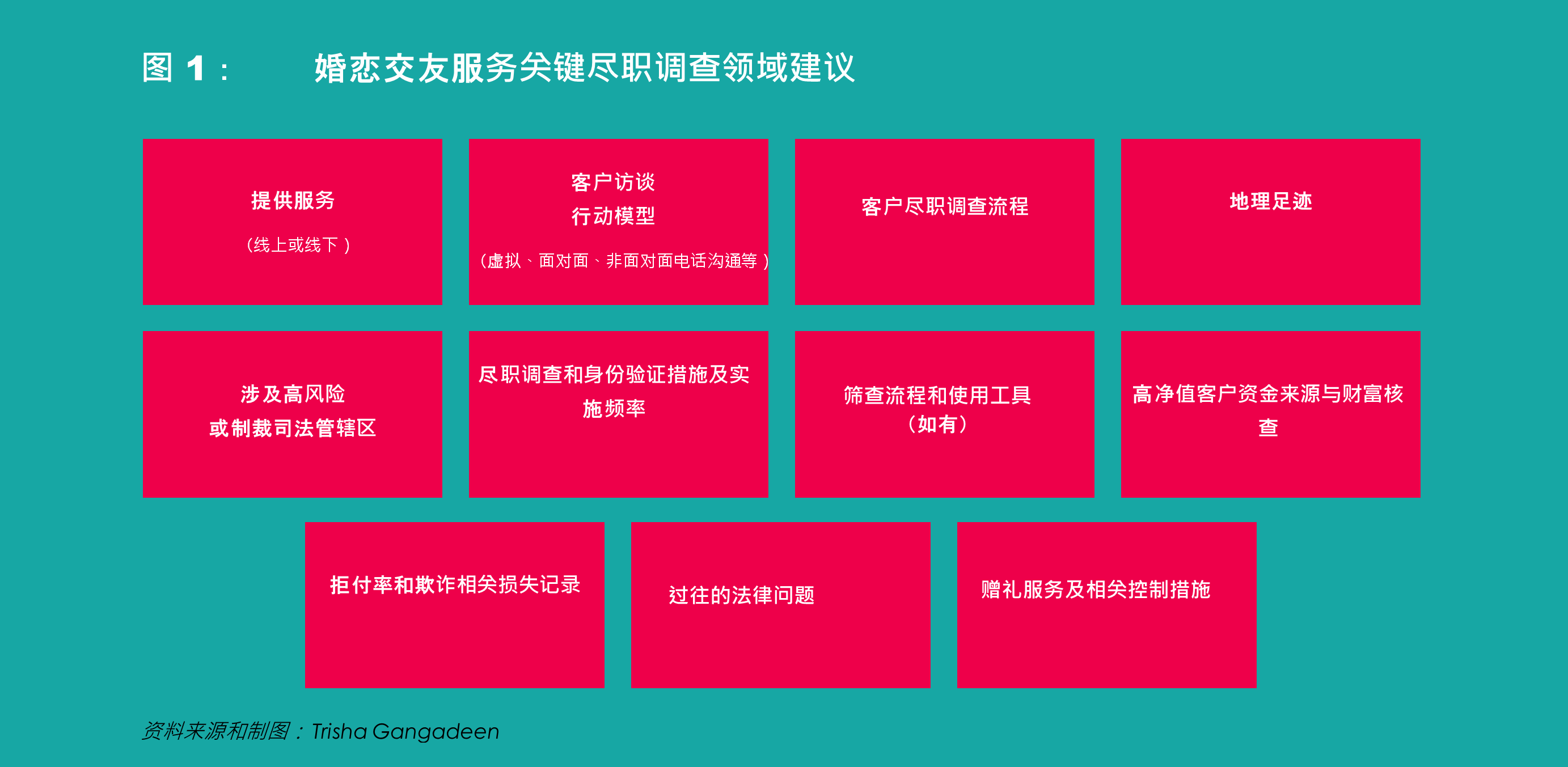 图 1: 婚恋交友服务关键尽职调查领域建议