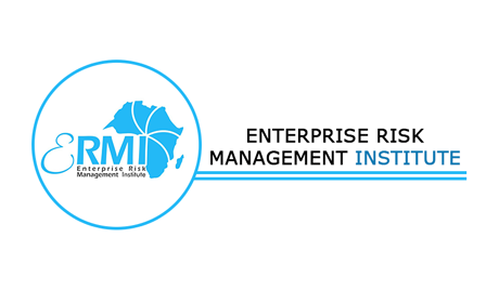 Enterprise Risk Management Institute (ERMI) Logo